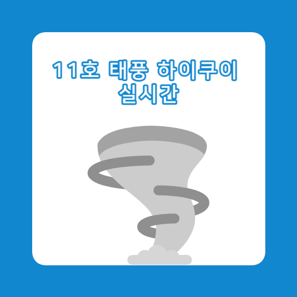 11호 태풍 하이쿠이 실시간