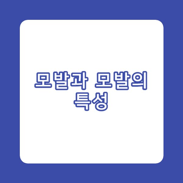 모발과 모발의 특성